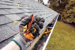 roof maintenance tips guide