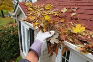 autumn property maintenance